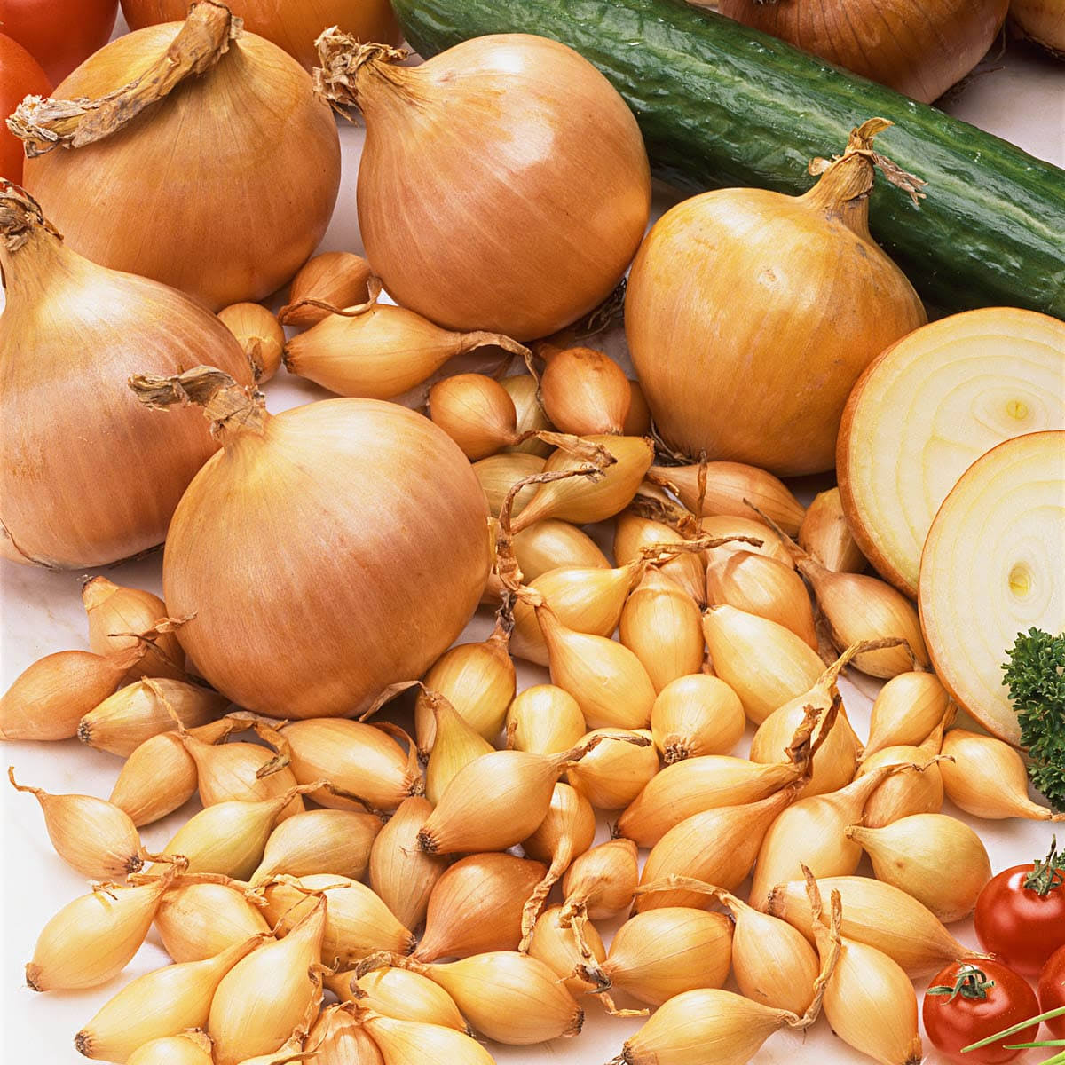Gurney's Sturon Onion Sets (80 Bulbs per Package) - Product image 1