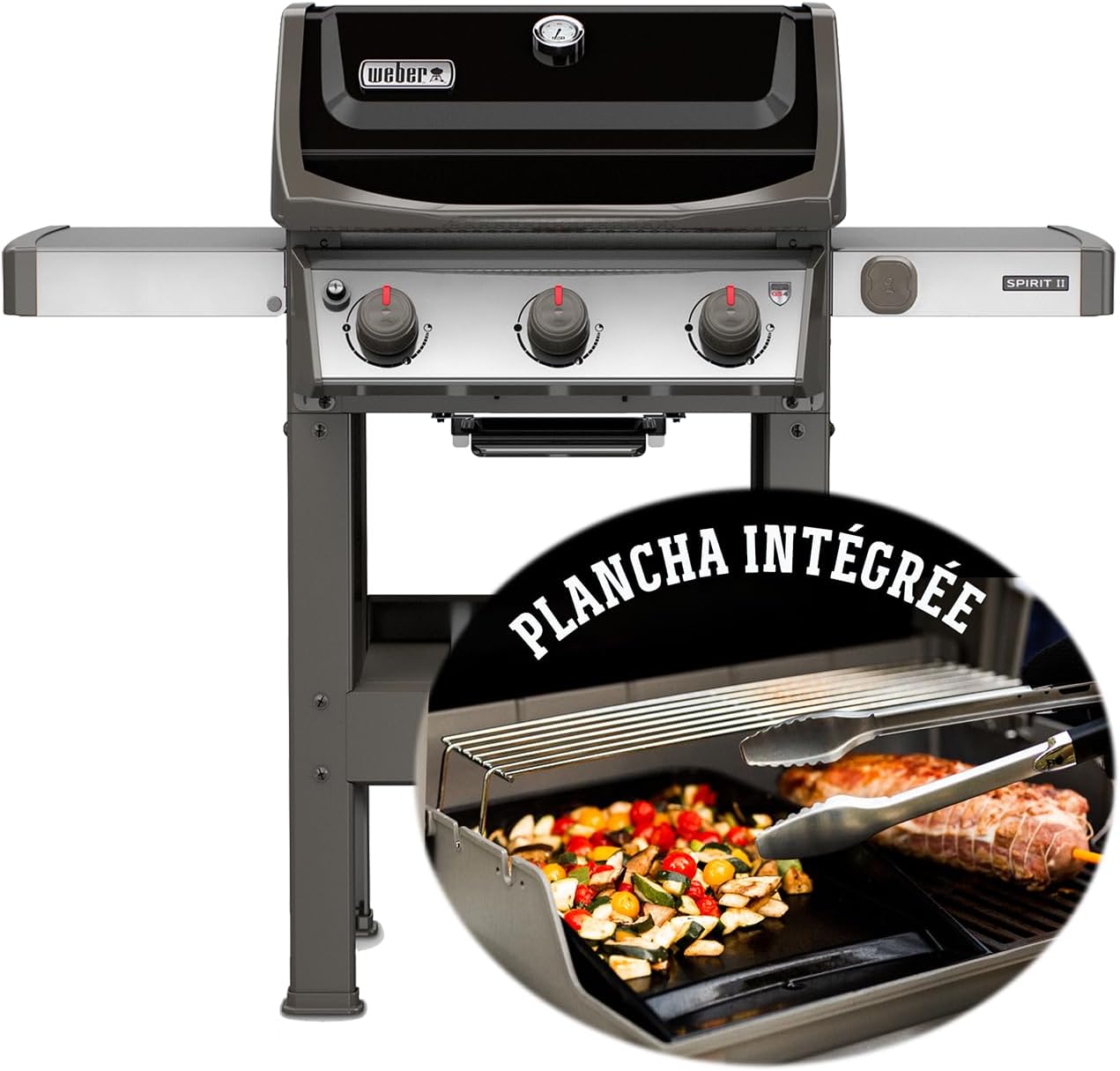 Gas barbecue Spirit E-310 classic
