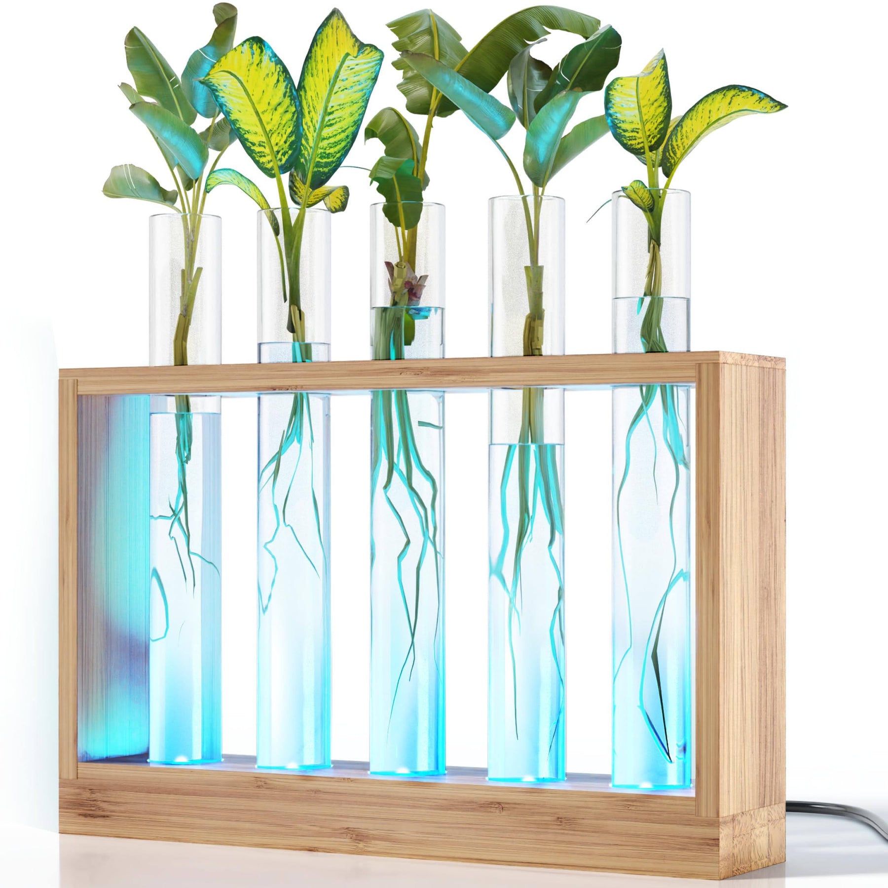Light Up Bamboo Vial Air Planter - Plant Lover Easter Gifts for Women - Product image 1